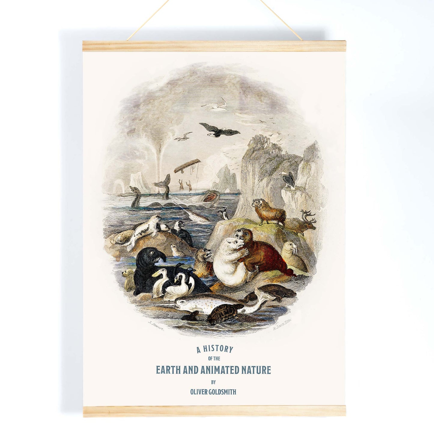 Hand drawn illustration and poster of animals in natural landscape from A history of the earth and animated nature by Oliver Goldsmith featuring sea and land creatures, with wooden magnetic frame on white background
