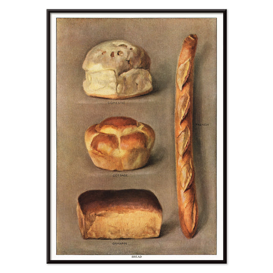 Assorted bread loaves including domestic cottage French and graham from The Grocers Encyclopedia vintage artwork collection of baked bread types poster, with black aluminium frame on white background
