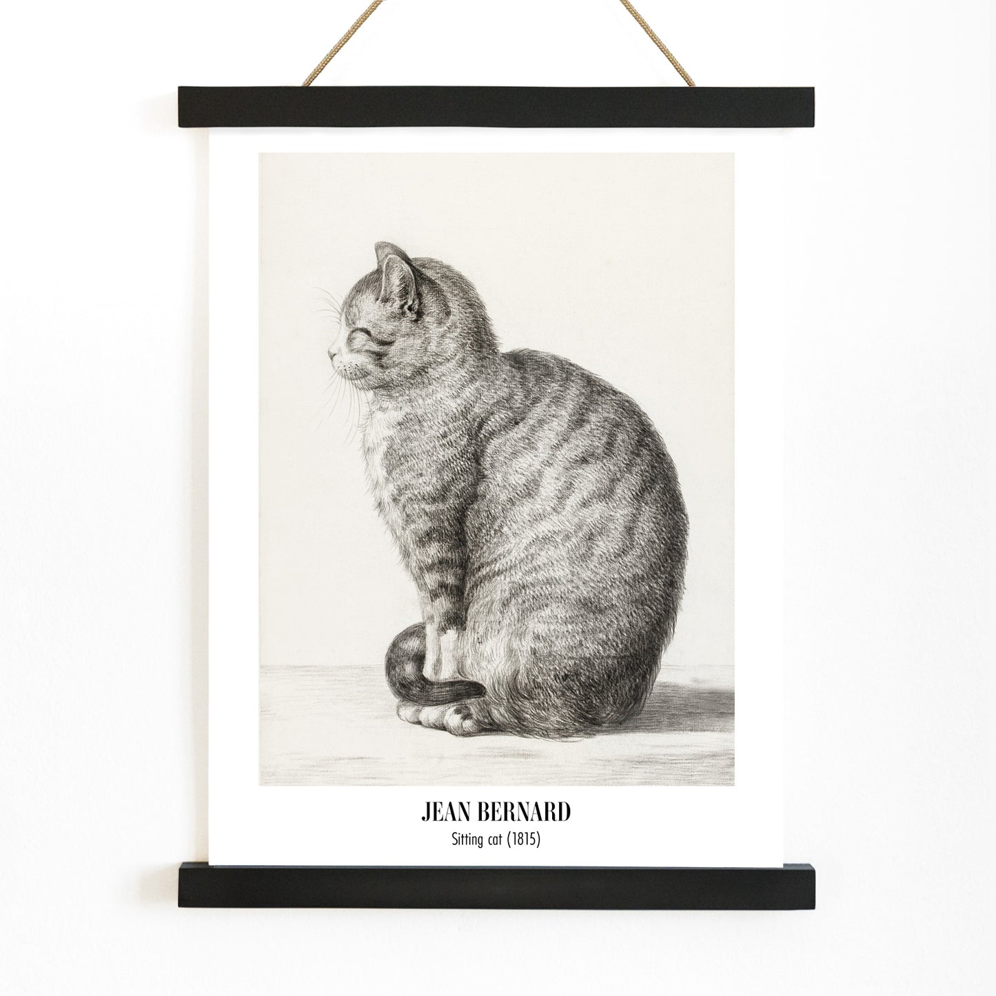 Detailed drawing of a sitting cat by Jean Bernard titled Sitting cat poster for home or office decor, with wooden magnetic frame on white background