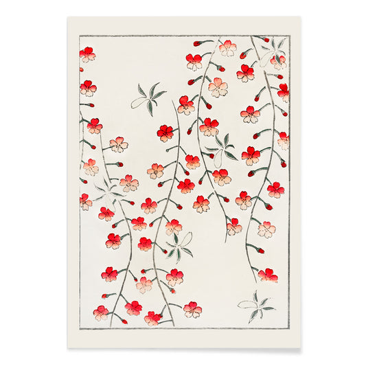 Cherry blossom branches and red flowers artwork by Watanabe Seitei from Bijutsu Sekai Japanese poster illustration, with black aluminium frame on white background