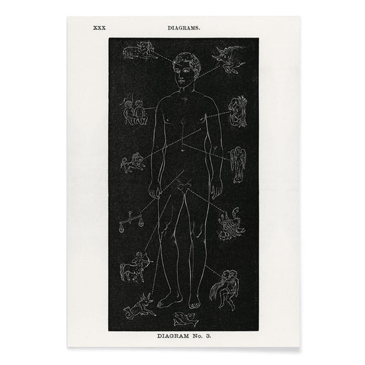 Human body diagram with astrological zodiac symbols and body part connections from Solar Biology by Hiram Erastus Butler, with black aluminium frame on white background