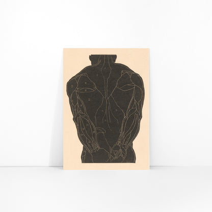 Anatomical illustration and poster of human back muscles by Reijer Stolk labeled muscle groups artwork Back Muscles, framed and displayed in modern living room decor