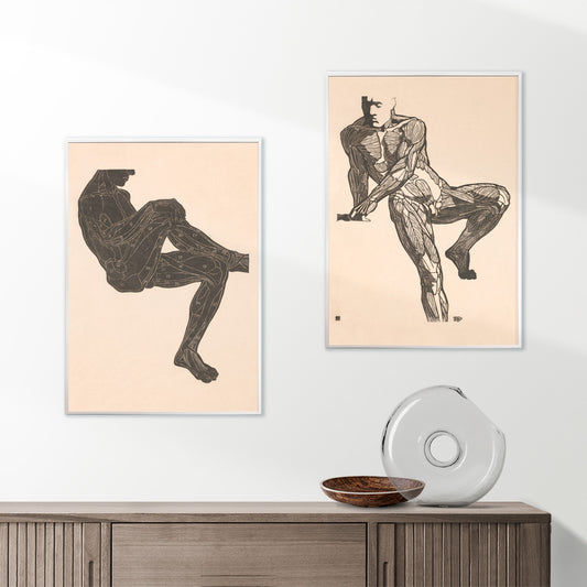 Detailed anatomical drawing of human chest muscles by Reijer Stolk showing a seated male figure poster artwork, framed and displayed in home decor