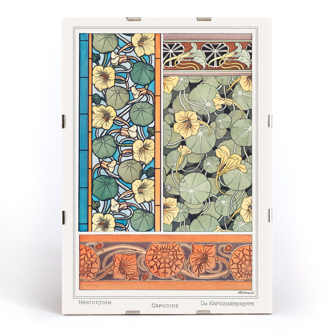 Art Nouveau capucine nasturtium botanical illustration by Maurice Pillard Verneuil from La Plante et ses Applications ornementales, framed and displayed in modern living room decor