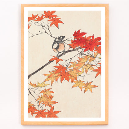 Closeup detail of Bird on tree branch with autumn red and orange leaves Keinen kacho gafu by Imao Keinen Japanese art print
