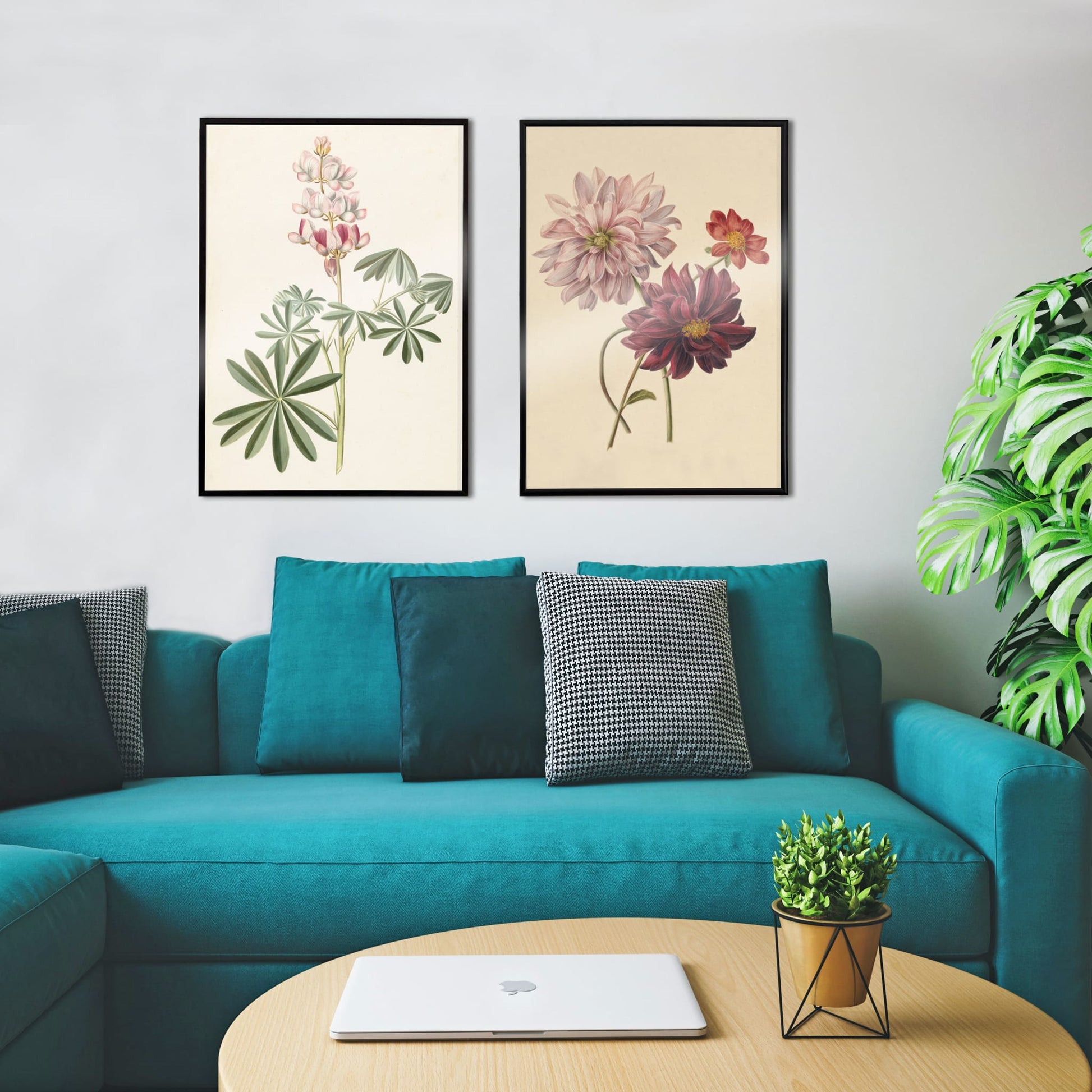 Botanical illustration poster of colorful dahlias in soft pink red and burgundy by Willem Hekking, framed and displayed in home decor