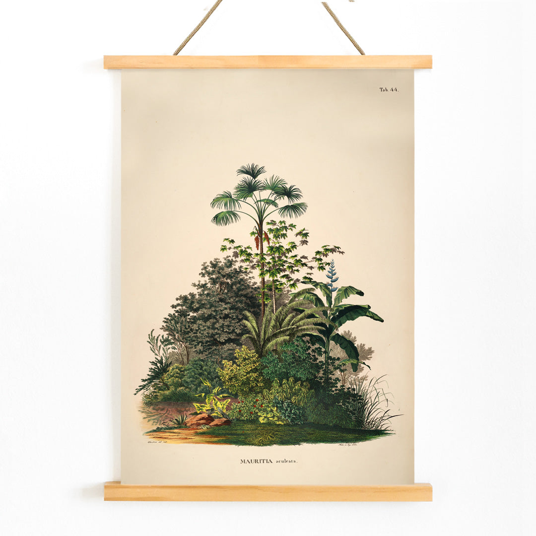 Botanical illustration poster of Mauritia Armata from Historia Naturalis Palmarum by Carl Friedrich Philipp von Martius featuring detailed tropical plants, with wooden magnetic frame on white background