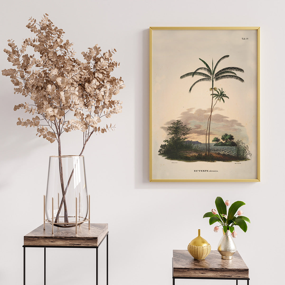 Euterpe oleracea botanical illustration and palm landscape poster by Carl Friedrich Philipp von Martius from Historia Naturalis Palmarum, framed and displayed in home decor