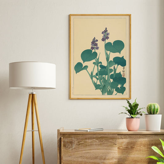 Botanical illustration and poster of green hosta plant with purple flowers by Ohara Koson in Japanese botanical art style, framed and displayed in home decor