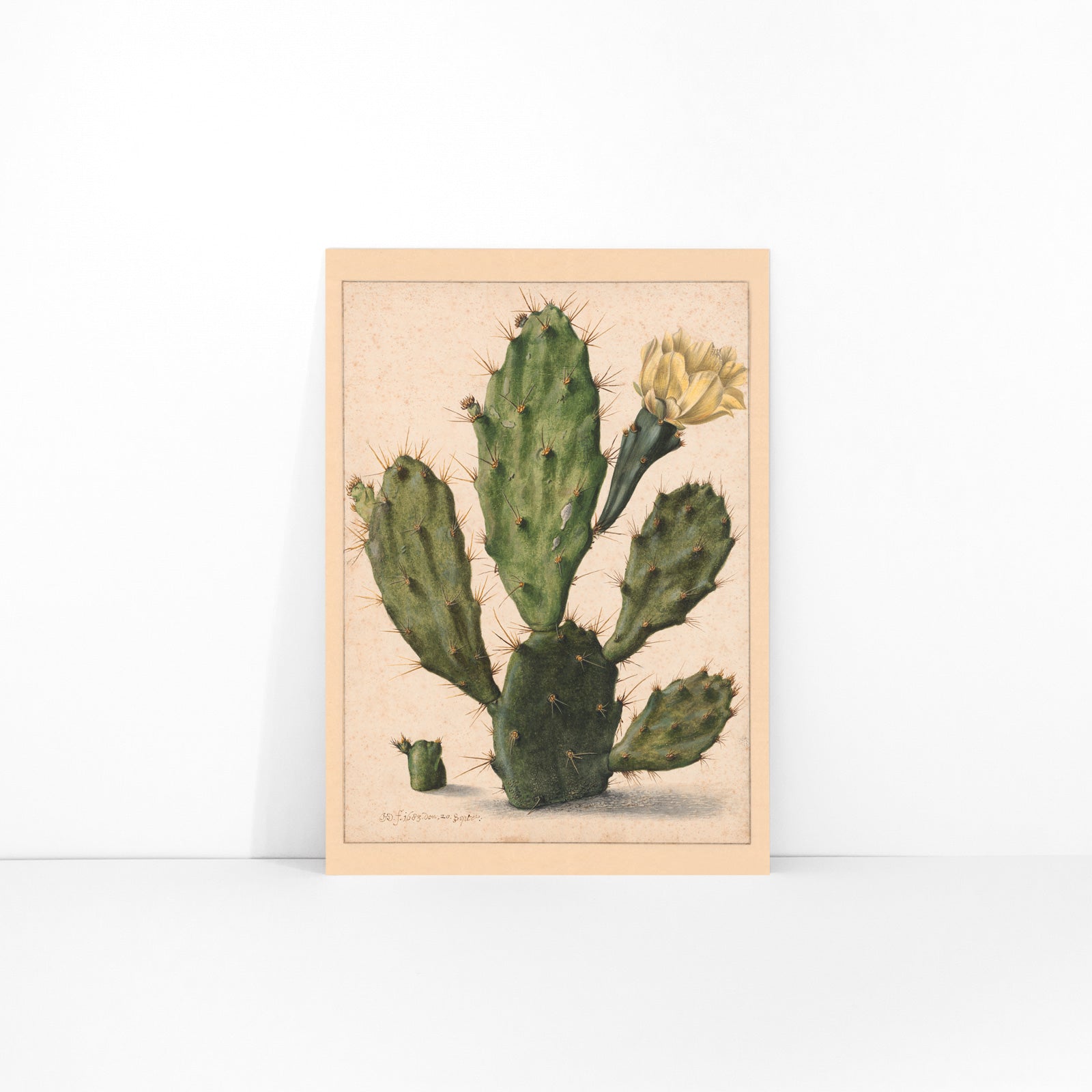 Pear Cactus in Bloom by Herman Saftleven botanical illustration and poster featuring a green cactus with a yellow flower on a neutral background, framed and displayed in modern living room decor