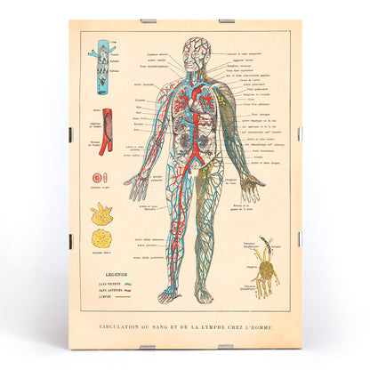 , framed and displayed in modern living room decor