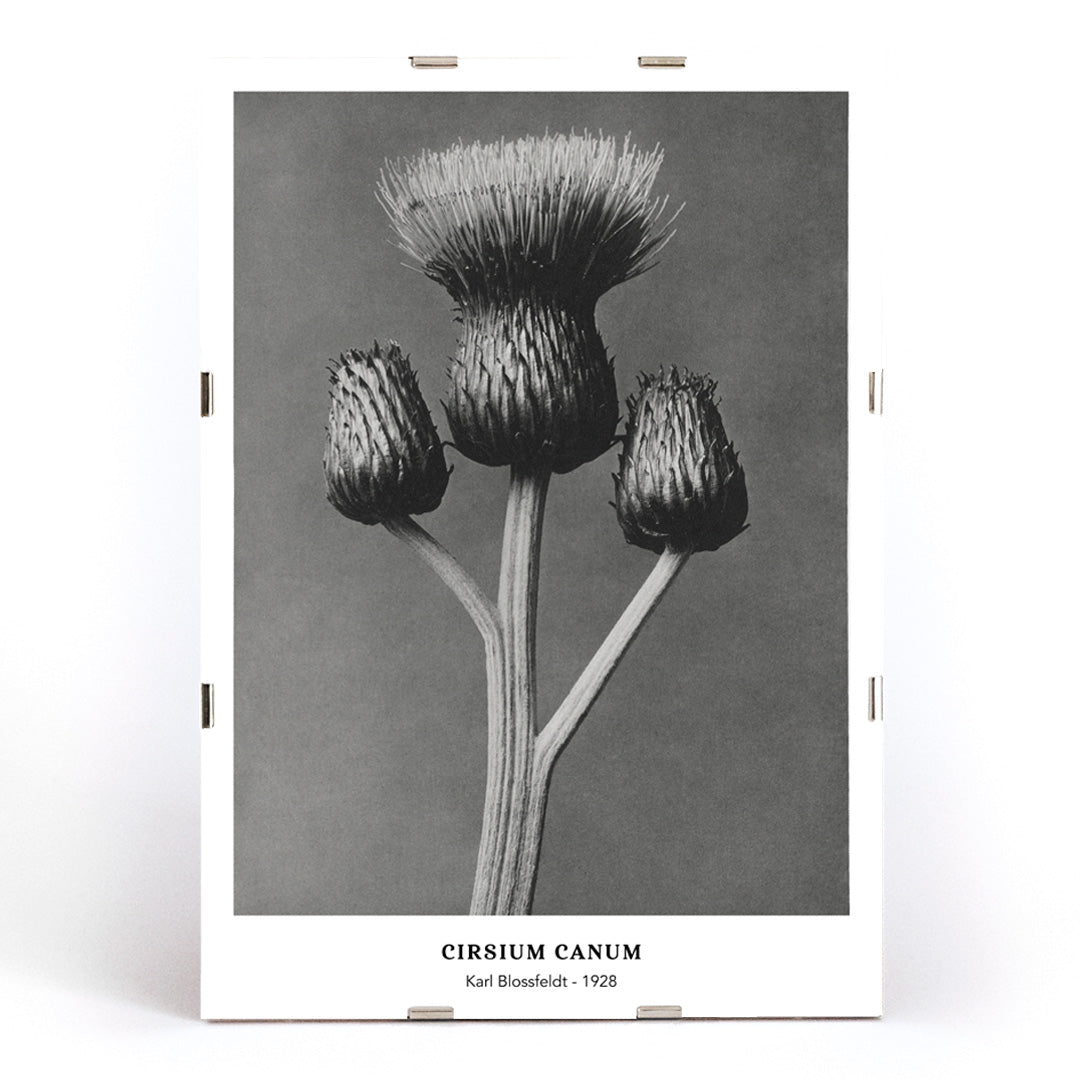 , framed and displayed in modern living room decor