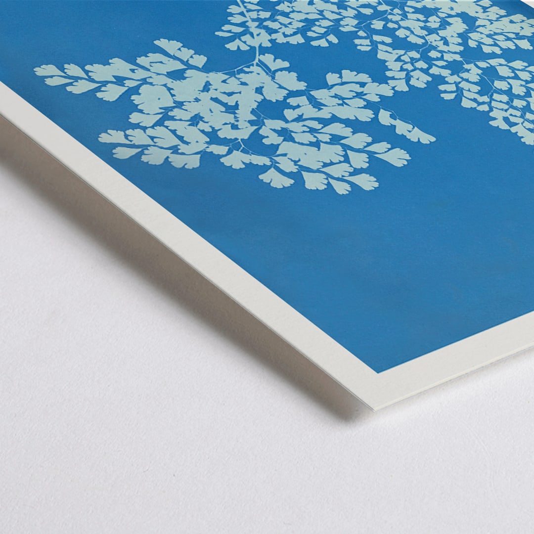Closeup detail of Botanical cyanotype poster of Adiantum assimile by Anna Atkins featuring delicate white fern leaves on blue background