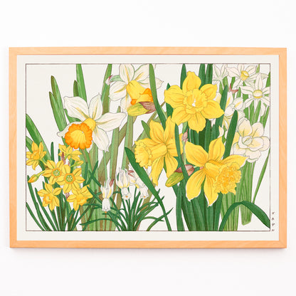 Closeup detail of Daffodil woodblock painting by Tanigami Konan vibrant yellow and white floral artwork poster