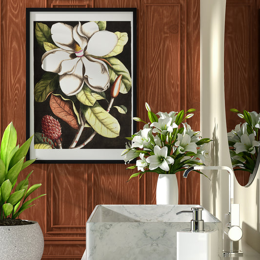 Botanical illustration and poster of Laurel Tree Magnolia altissima with white flower and green leaves by Mark Catesby for wall decor, framed and displayed in home decor