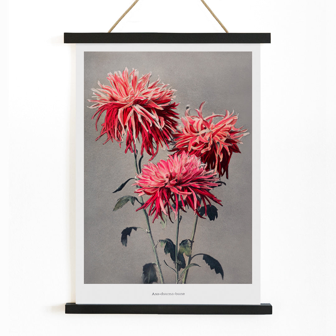 , with wooden magnetic frame on white background