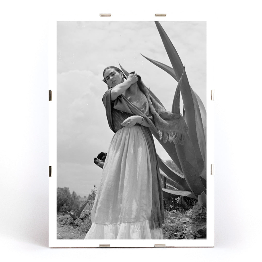 Frida Kahlo Senora Diego Rivera standing beside agave plant by Toni Frissell black and white artwork poster, framed and displayed in modern living room decor