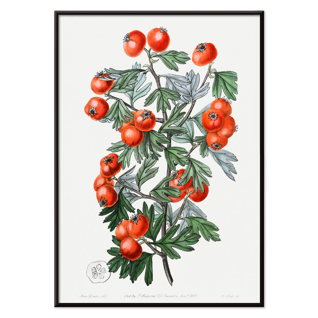 , with black aluminium frame on white background