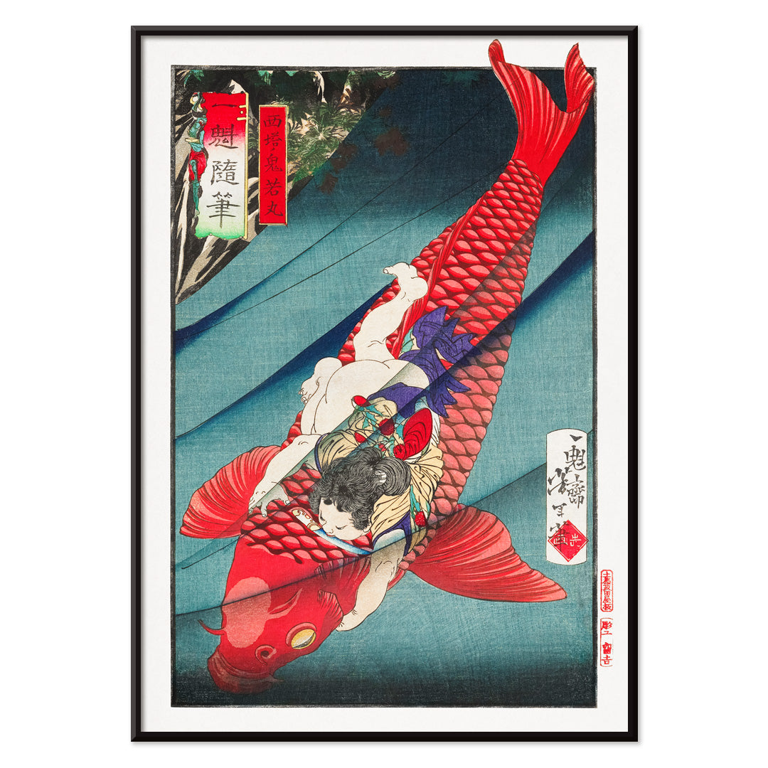 Young boy holding and wrestling a giant red koi fish in vibrant Japanese woodblock print Saito no Oniwakamaru by Tsukioka Yoshitoshi, with black aluminium frame on white background