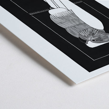 Closeup detail of Black and white sulphur crested cockatoo fine art print and stylized poster by Samuel Jessurun de Mesquita