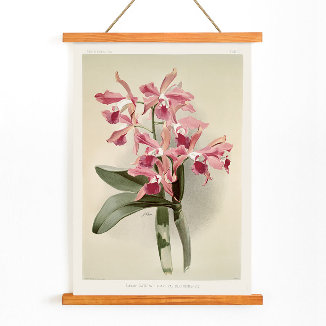 , with wooden magnetic frame on white background