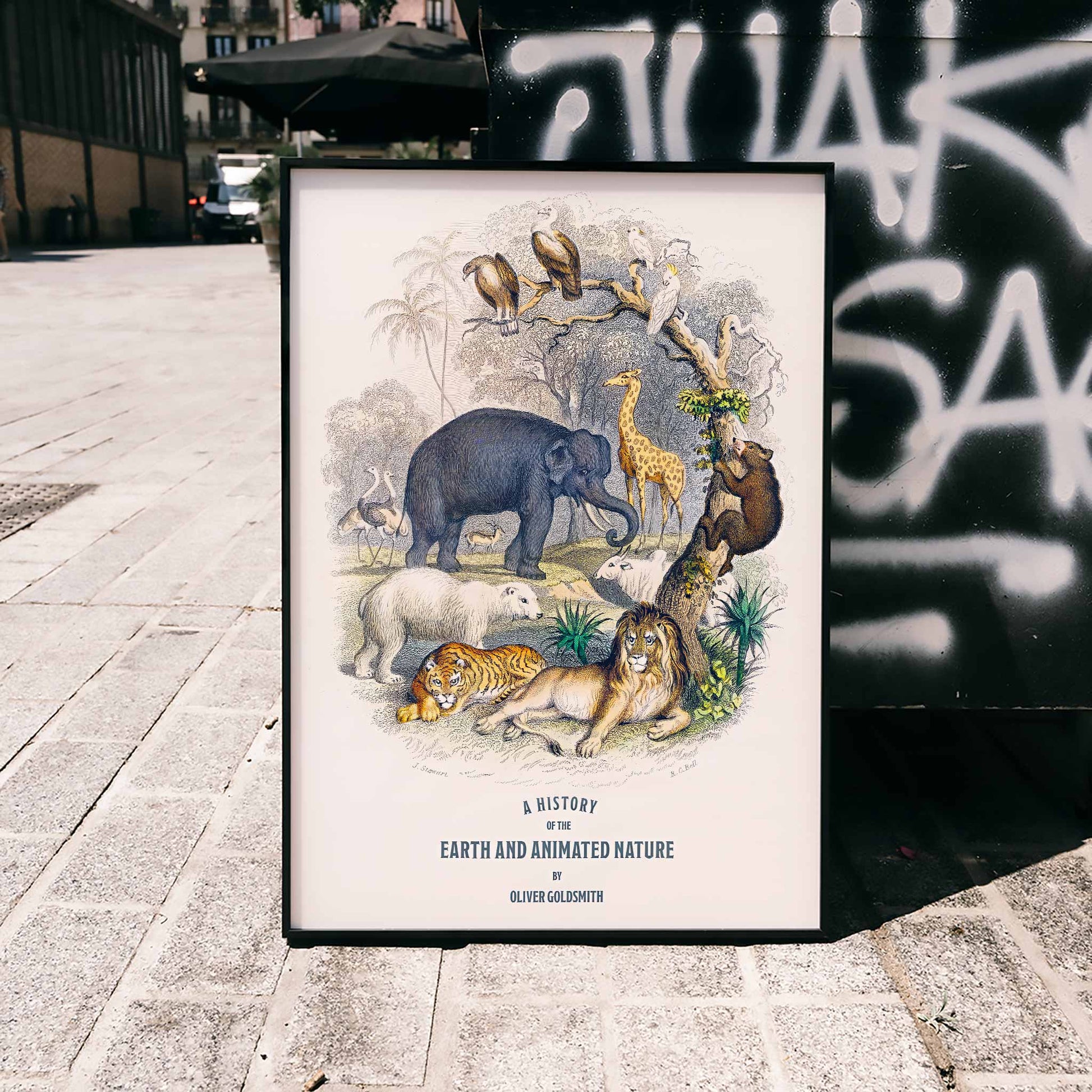 Wild animals and birds illustrated on the cover of A history of the earth and animated nature by Oliver Goldsmith poster, framed and displayed in modern living room decor