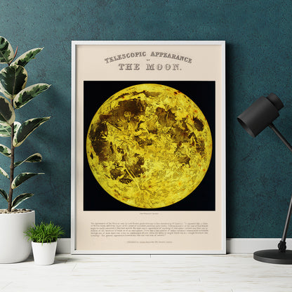 , framed and displayed in home decor