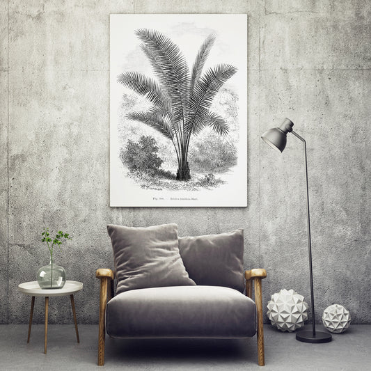 , framed and displayed in home decor