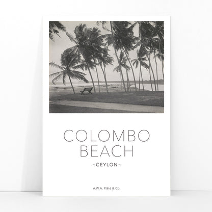 Colombo Beach Ceylon poster with palm trees and empty bench artwork by AWA Plate and Co ideal for wall decor and travel themes, framed and displayed in modern living room decor