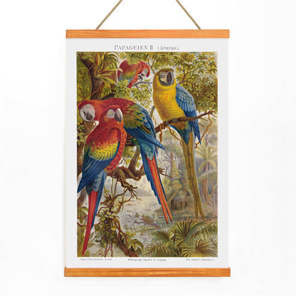 Colorful parrots in a lush jungle artwork Papageien II by Institut of Leipzig poster for wall decor, with wooden magnetic frame on white background