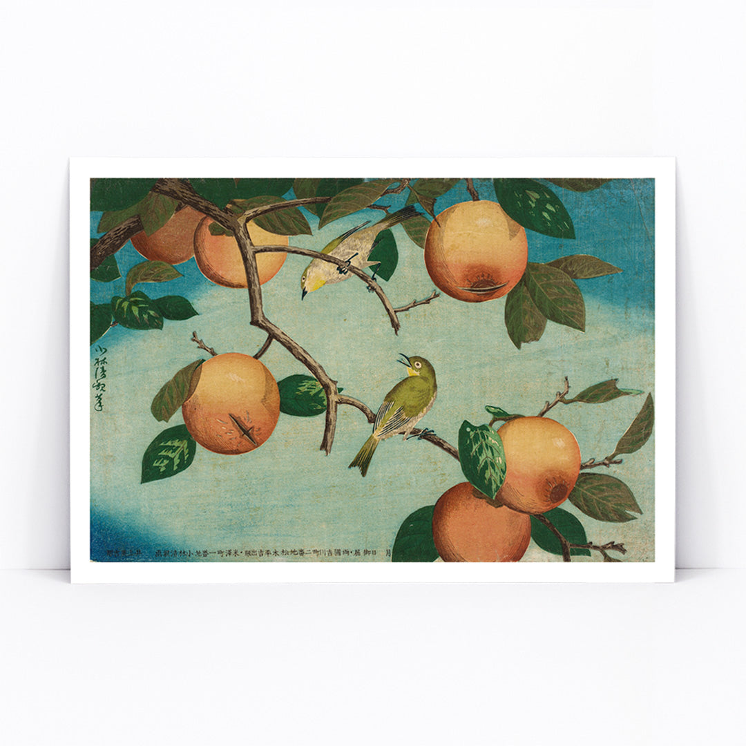 Two white eye birds on persimmon tree with ripe fruit artwork by Kobayashi Kiyochika Persimmons and White Eyes poster, framed and displayed in modern living room decor