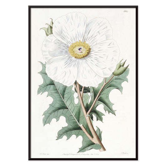 , with black aluminium frame on white background