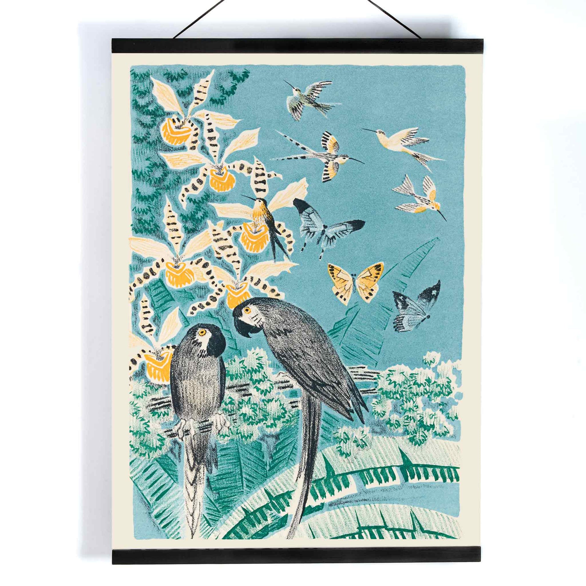 Colorful parrots butterflies and birds in a lush tropical garden illustration from Douze contes de Paris et de Provence by Paul Arène, with wooden magnetic frame on white background