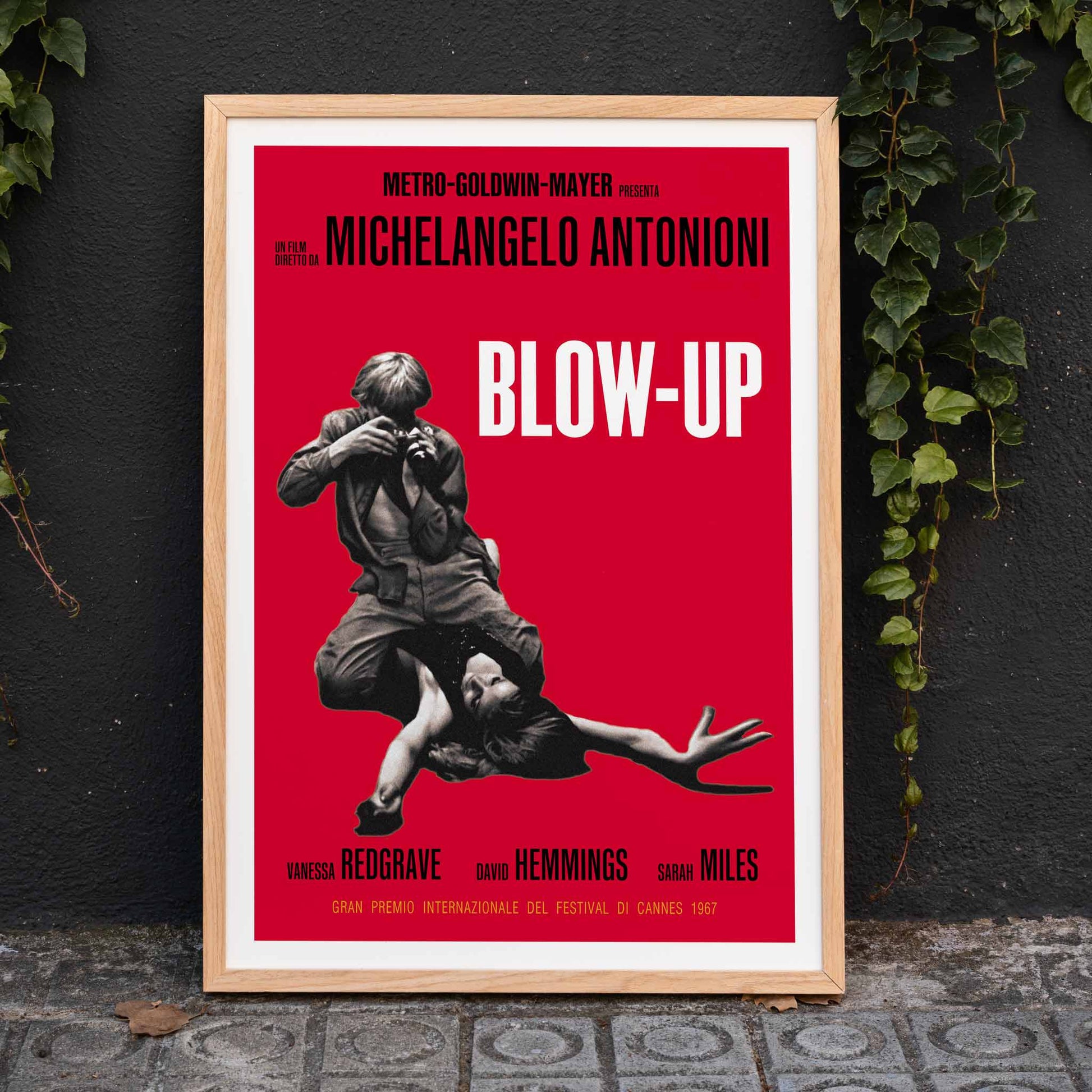 Michelangelo Antonioni Blow Up Movie poster with dramatic black and white photography and vibrant red background, framed and displayed in home decor