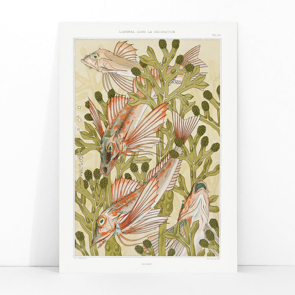Poster of colorful red mullet fish swimming among green algae titled Red mullet and Algae by Maurice Pillard Verneuil, framed and displayed in modern living room decor