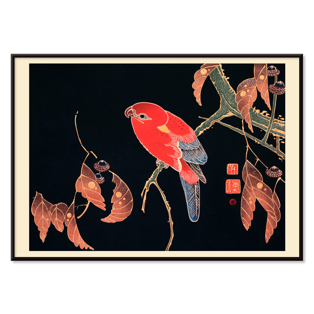 Vibrant red parrot perched on a tree branch artwork by Ito Jakuchu showcasing intricate details and colors poster, with black aluminium frame on white background