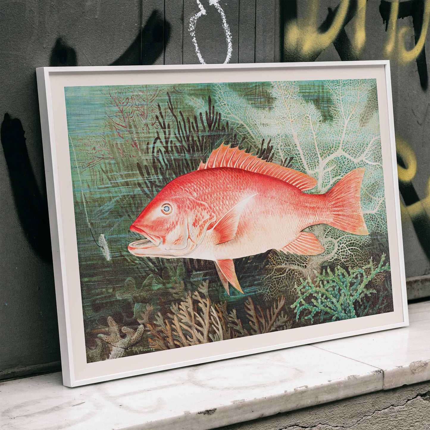Northern Red Snapper illustration by Samuel Kilbourne swimming among coral reef plants marine wall decor chromolithograph artwork, framed and displayed in modern living room decor