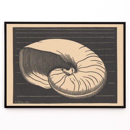 Closeup detail of Black and white and beige shell illustration by Julie de Graag linocut artwork poster perfect for art and nature lovers