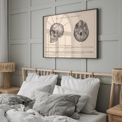 Detailed anatomical illustration and educational poster of human skull side and bottom views by Institute of Liepzig, framed and displayed in home decor