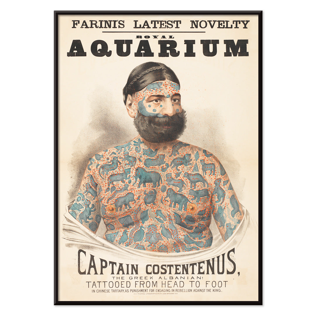 Tattooed man Captain Costentenus the Greek Albanian at The Royal Aquarium vintage poster artwork, with black aluminium frame on white background