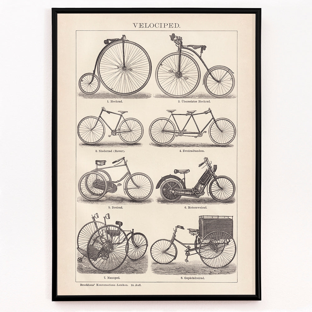 Closeup detail of Vintage bicycle types and illustrations by Bibliographic institute of Liepzig Velociped with labeled bike types