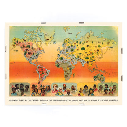 , framed and displayed in modern living room decor